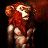 Chimp by Marco Bravo