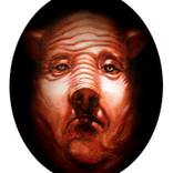 Pig by Marco Bravo