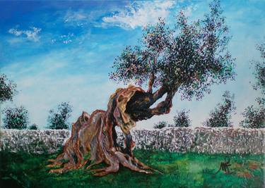 Centenary olive tree - Puglia thumb