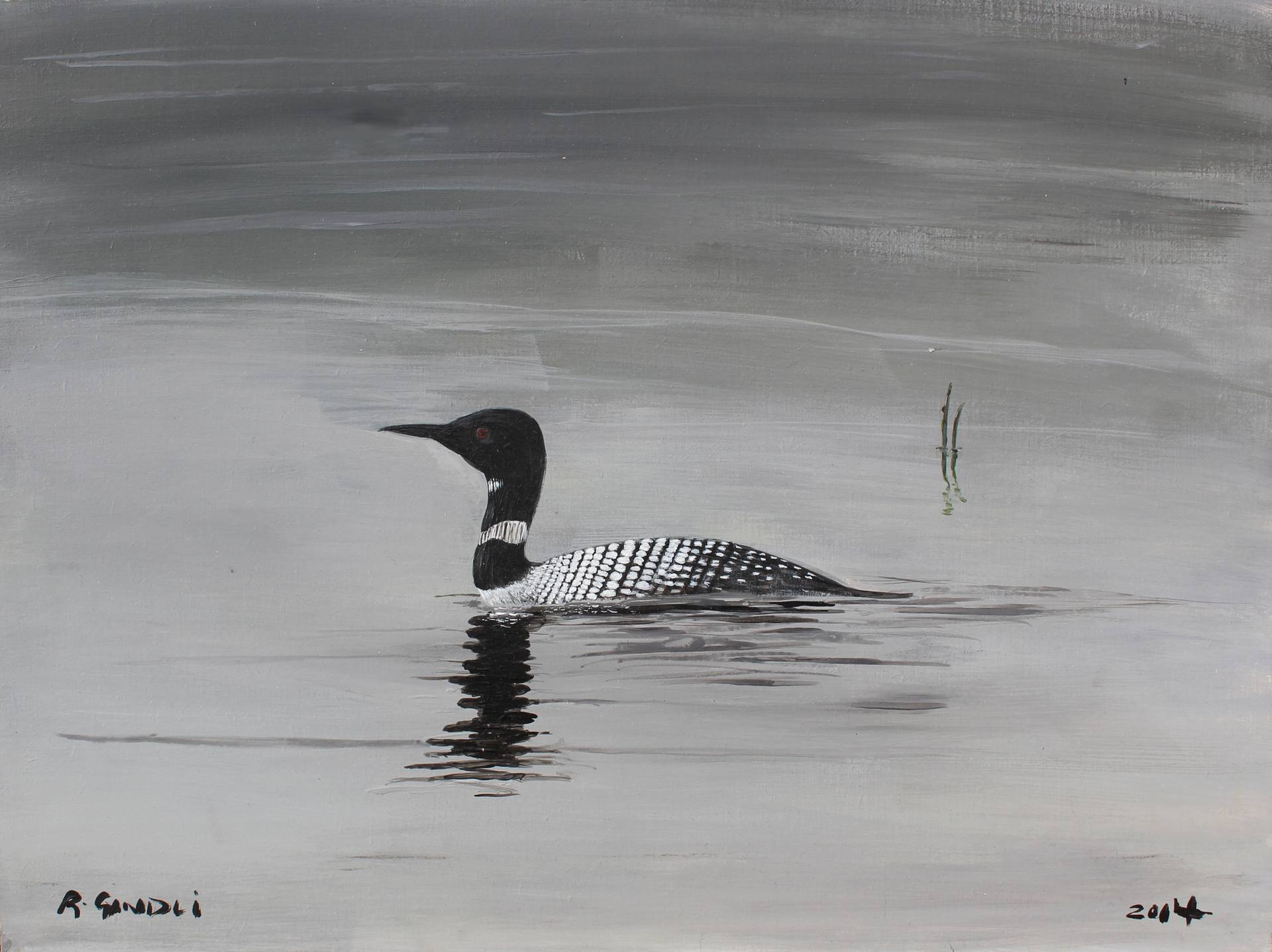 Loon In Calm Painting By Robert Gindli Saatchi Art