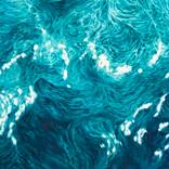 Teal Ocean by Valeria Golovenkina