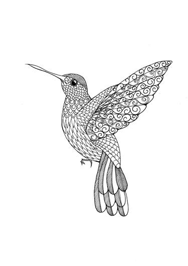 Hummingbird. Birds series thumb