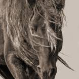 Collection Best of 2023: Photography