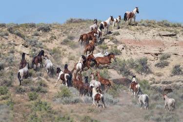 Wyoming Wild Horses Run Up the Hill - Limited Edition of 100 thumb