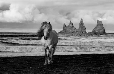 White Mare on a Black Sand Beach - Limited Edition of 100 thumb