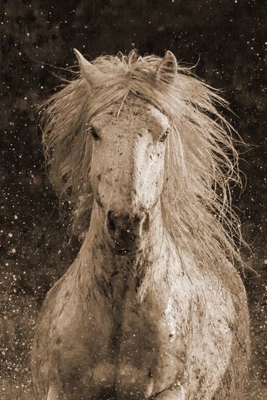 Splash in Sepia - Limited Edition of 100 thumb