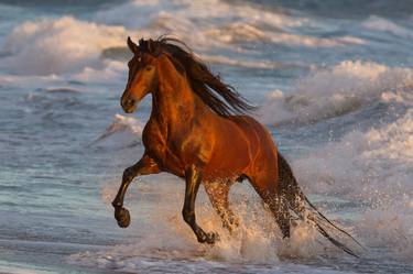 Ocean Horse Leaps at Sunset - Limited Edition of 100 thumb