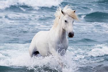 The White Stallion in the Waves - Limited Edition of 100 thumb