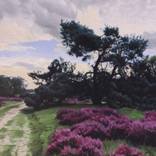 Heather landscape with pine tree near Laren, Holland by Bo Bakker