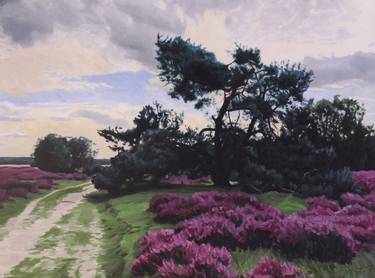 Heather landscape with pine tree near Laren, Holland thumb