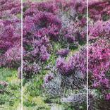 Painting of a heather landscape near Laren, Holland by Bo Bakker