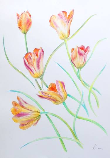 Six Coral Tulips thumb