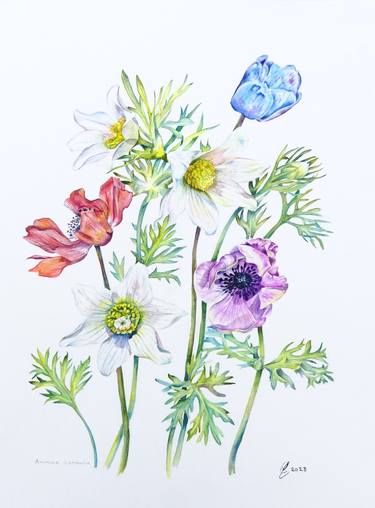 Print of Botanic Paintings by Elizabeth Sadler