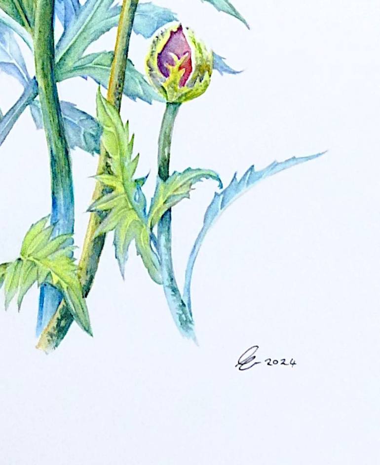 Original Contemporary Botanic Painting by Elizabeth Sadler