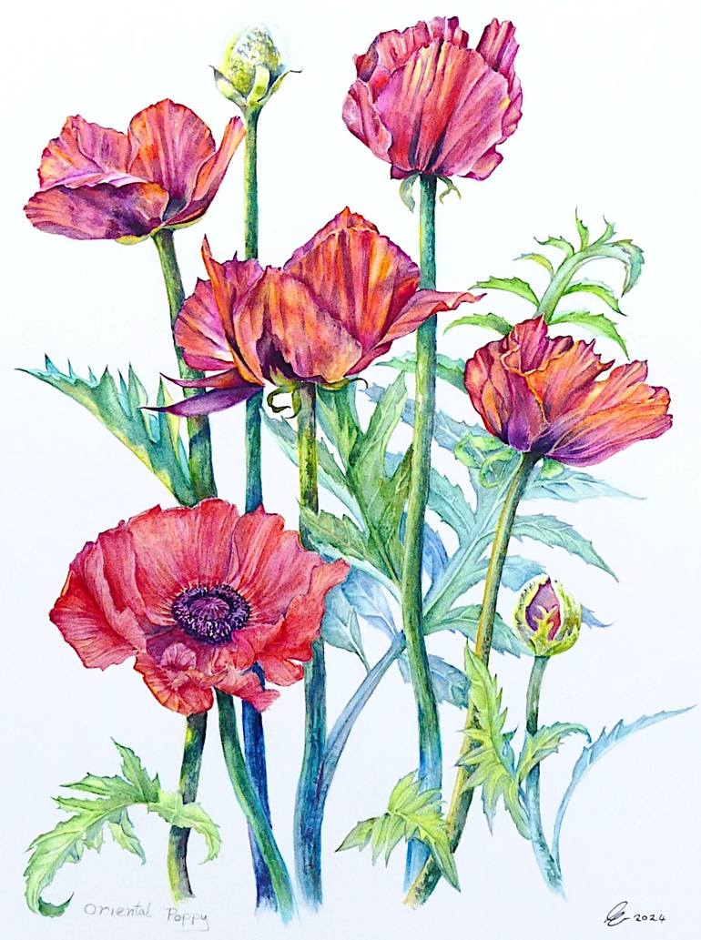 Original Contemporary Botanic Painting by Elizabeth Sadler