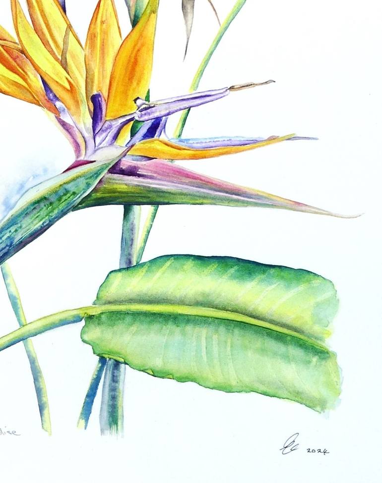 Original Contemporary Botanic Painting by Elizabeth Sadler