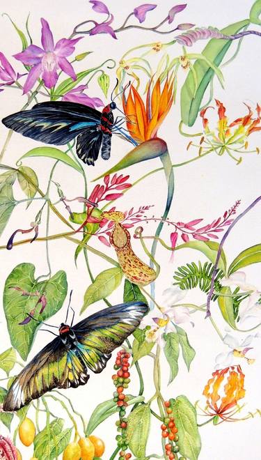 Print of Fine Art Botanic Paintings by Elizabeth Sadler