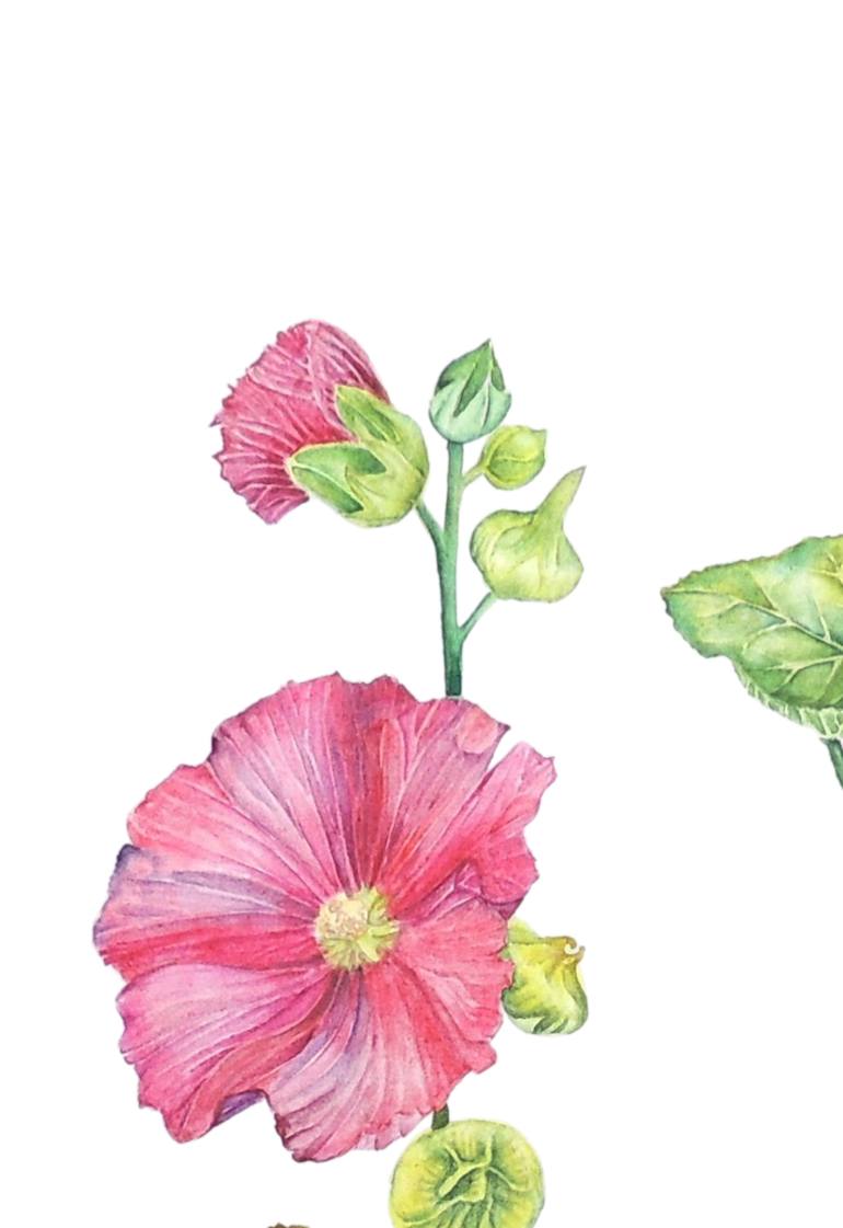 Original Fine Art Botanic Painting by Elizabeth Sadler