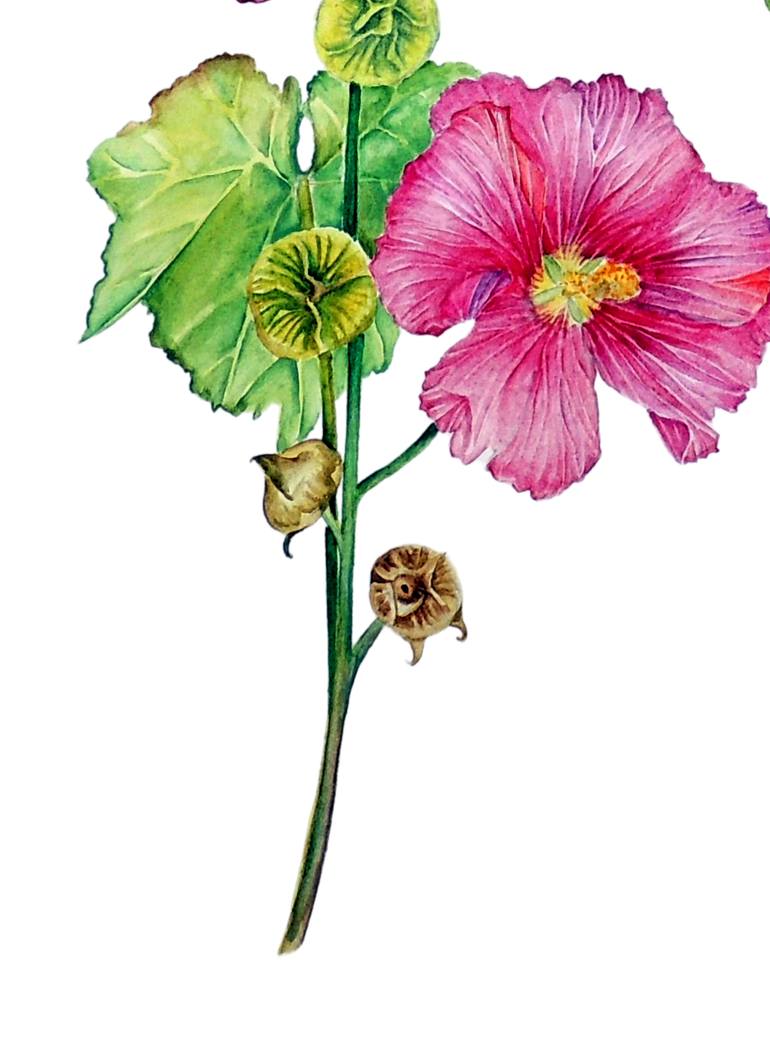 Original Other Botanic Painting by Elizabeth Sadler