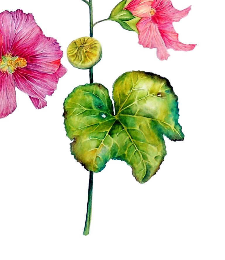 Original Other Botanic Painting by Elizabeth Sadler