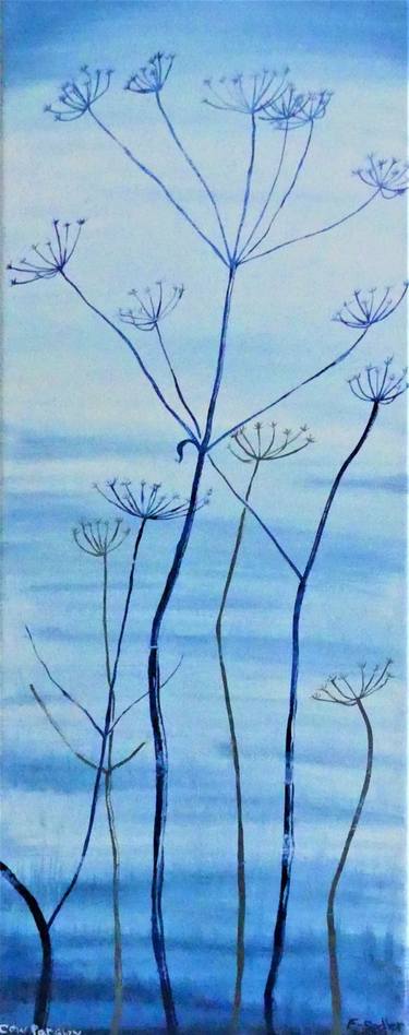 'Blue in the Mist' Cow Parsley thumb