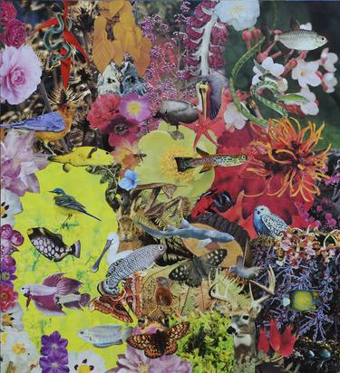 Print of Animal Collage by Tim Ridley