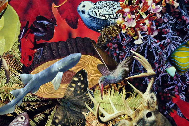 Original Conceptual Animal Collage by Tim Ridley