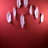 Germinales by Oscar Guido Barbery