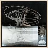 X-ray by Jayne Biehn