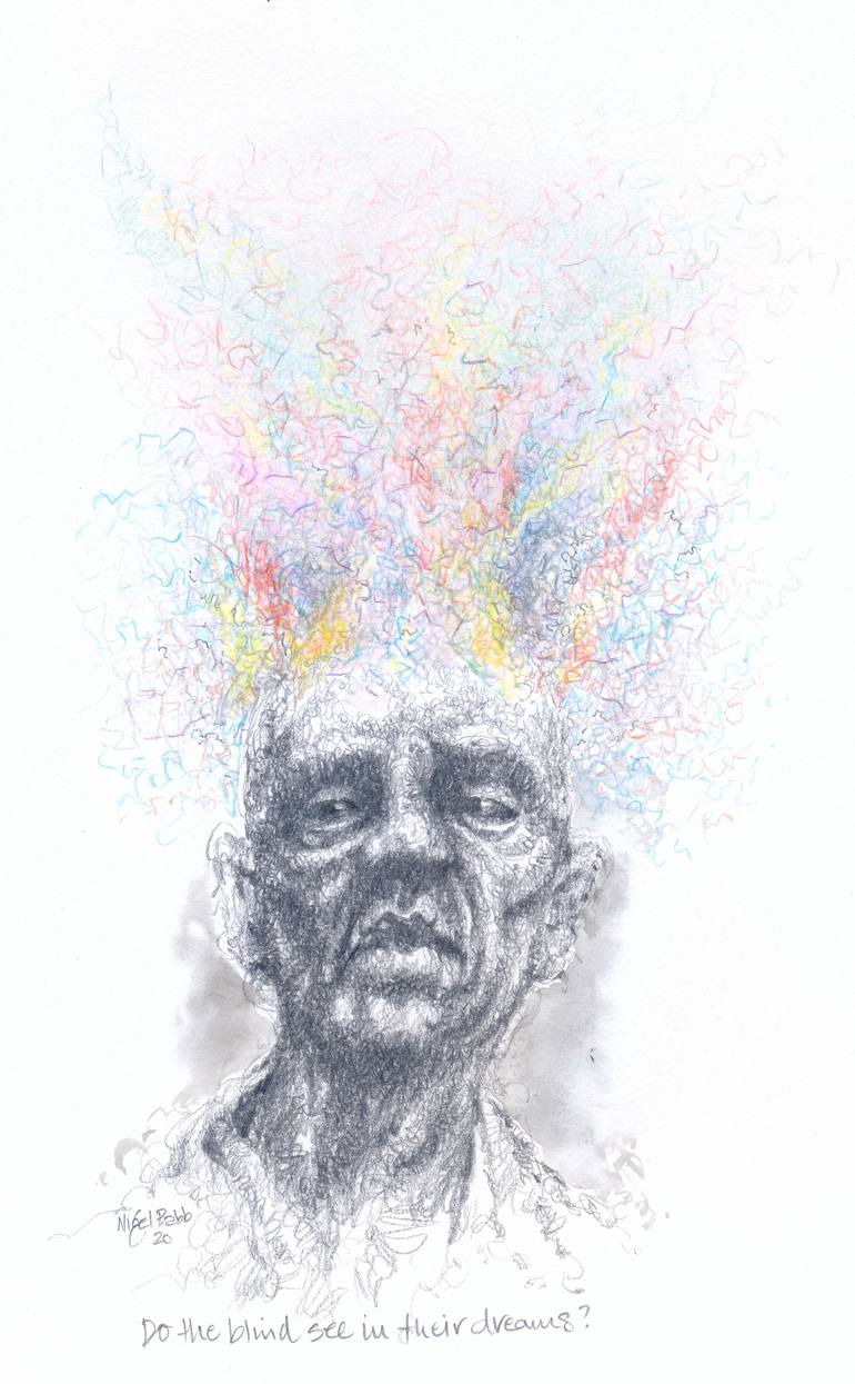 Can Blind People See Their Dreams