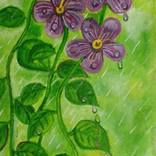 Raindrops by Suma GV