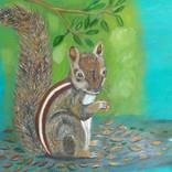 Squirrel by Suma GV