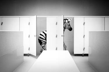 Original Conceptual Animal Photography by Eric Peltier