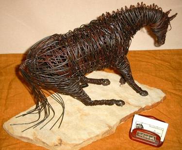 Original Horse Sculpture by Patricia Gibson