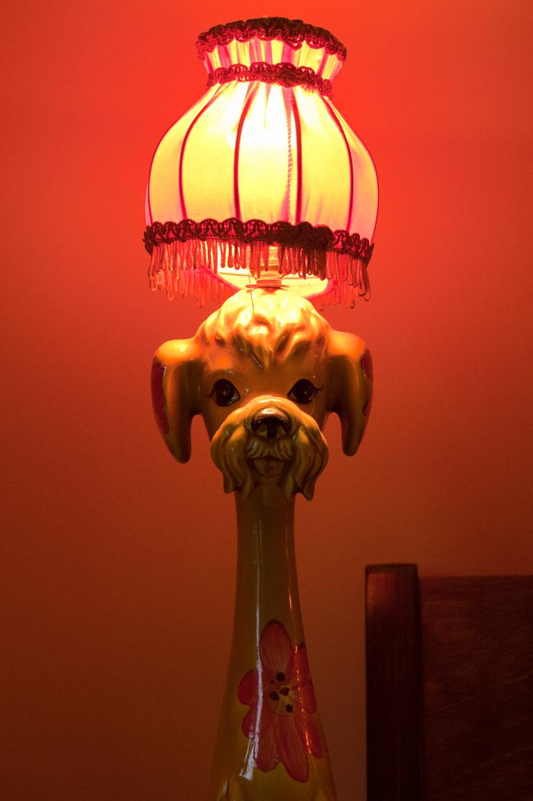 Original Other Dogs Photography by Olivia Hemingway