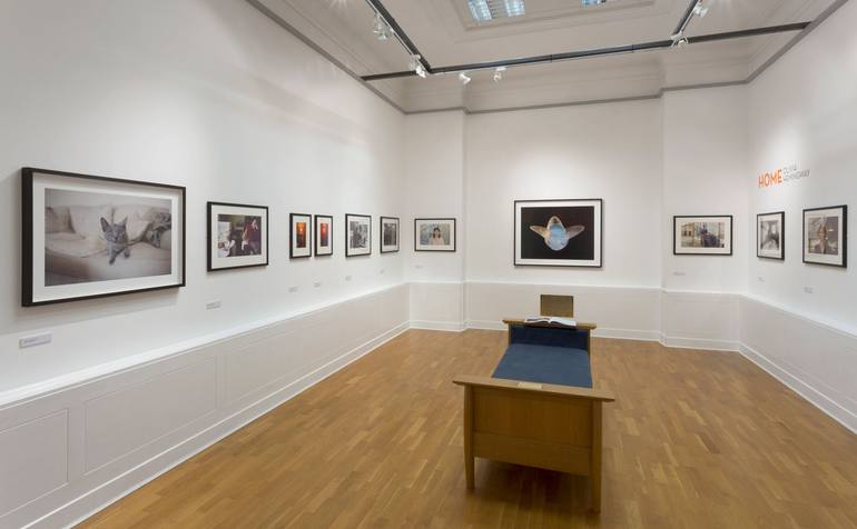 Original Fine Art Cats Photography by Olivia Hemingway