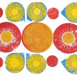 Collection Fructuum solis