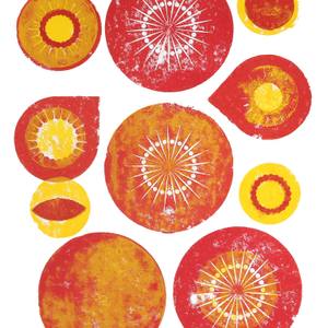Collection Fructuum solis
