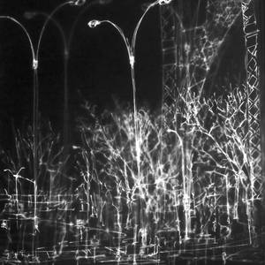 Collection TOAF Brooklyn Artists