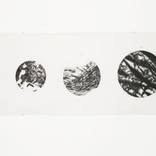 'A Closer Look' by Charlotte Dunn