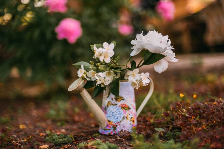 Print of Art Deco Garden Photography by Дарья Шевченко