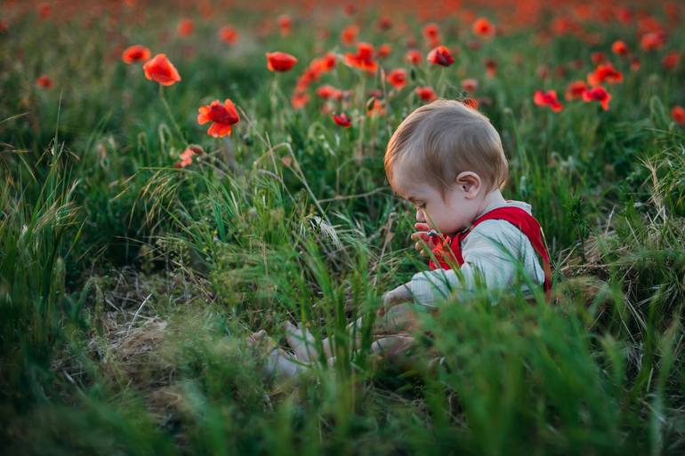 Baby in poppy field - Print