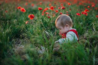 Baby in poppy field thumb