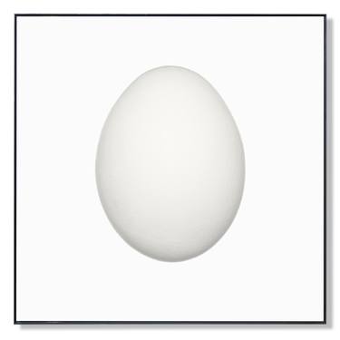 color white // 'egg #01' - Limited Edition of 50 thumb