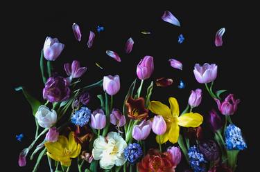 Print of Impressionism Floral Photography by Ineke Vaasen-Janssen