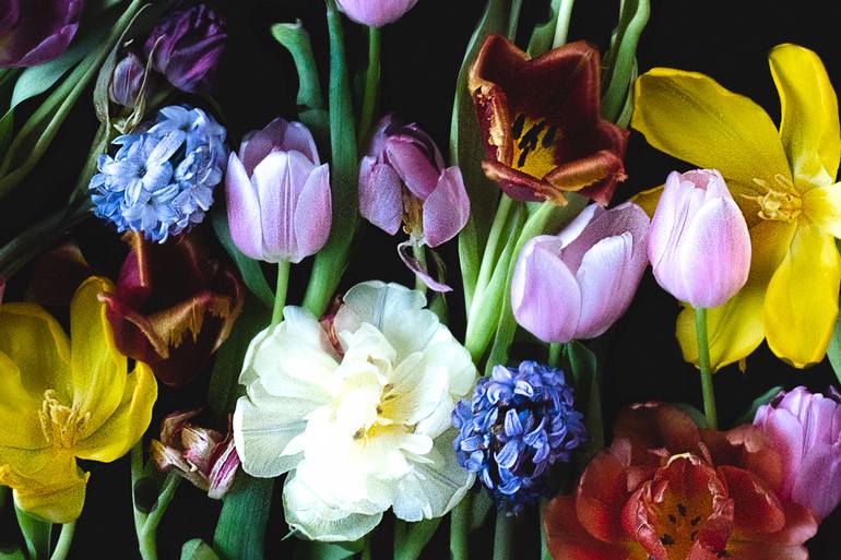 Original Impressionism Floral Photography by Ineke Vaasen-Janssen