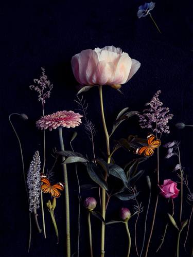 Original Expressionism Floral Photography by Ineke Vaasen-Janssen