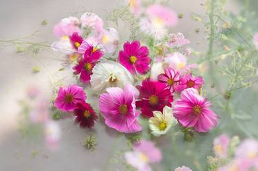 Original Fine Art Floral Photography by Ineke Vaasen-Janssen