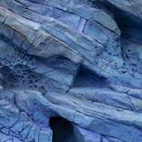 Collection Blue Velvet