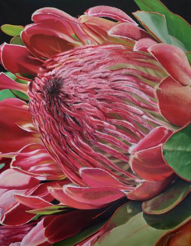 Original Photorealism Floral Painting by Melissa Eybers
